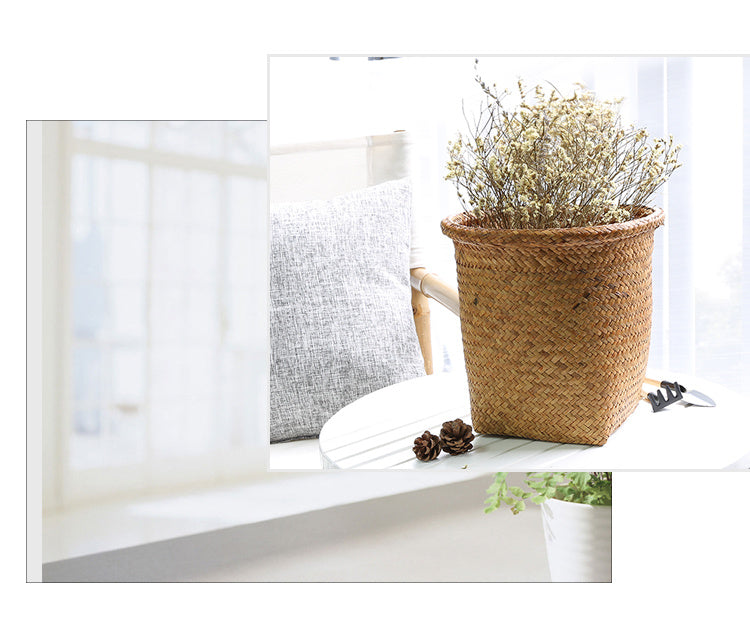 Pexaly Premium Caches-pots rotini bisques