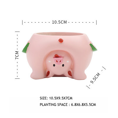 Premium Come and see the world's succulent plant pots