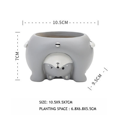 Premium Come and see the world's succulent plant pots
