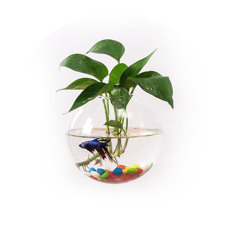 Hanging Utensils Hanging Wall Glass Flower Pots