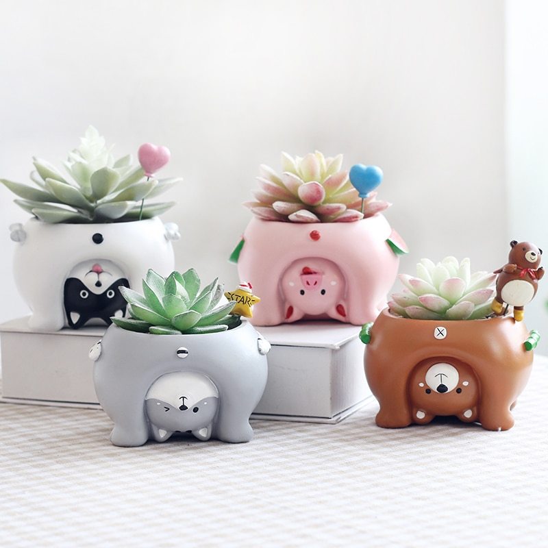Premium Come and see the world's succulent plant pots