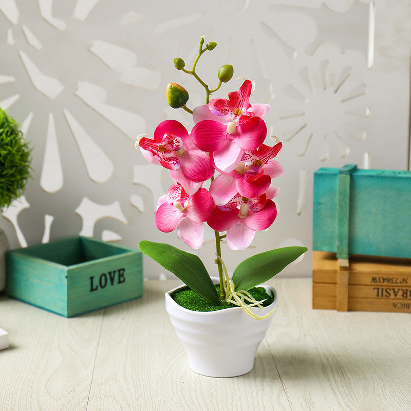 Simulation Flower Five-headed Phalaenopsis Bonsai With Pots