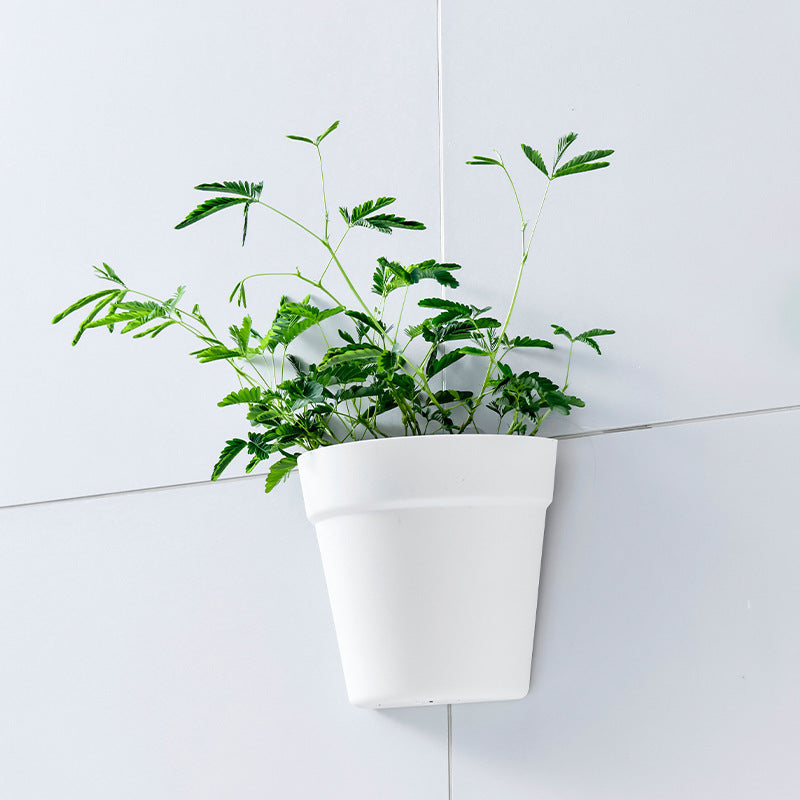 Premium Wall-mounted Plastic Potted Plant Flower Pots