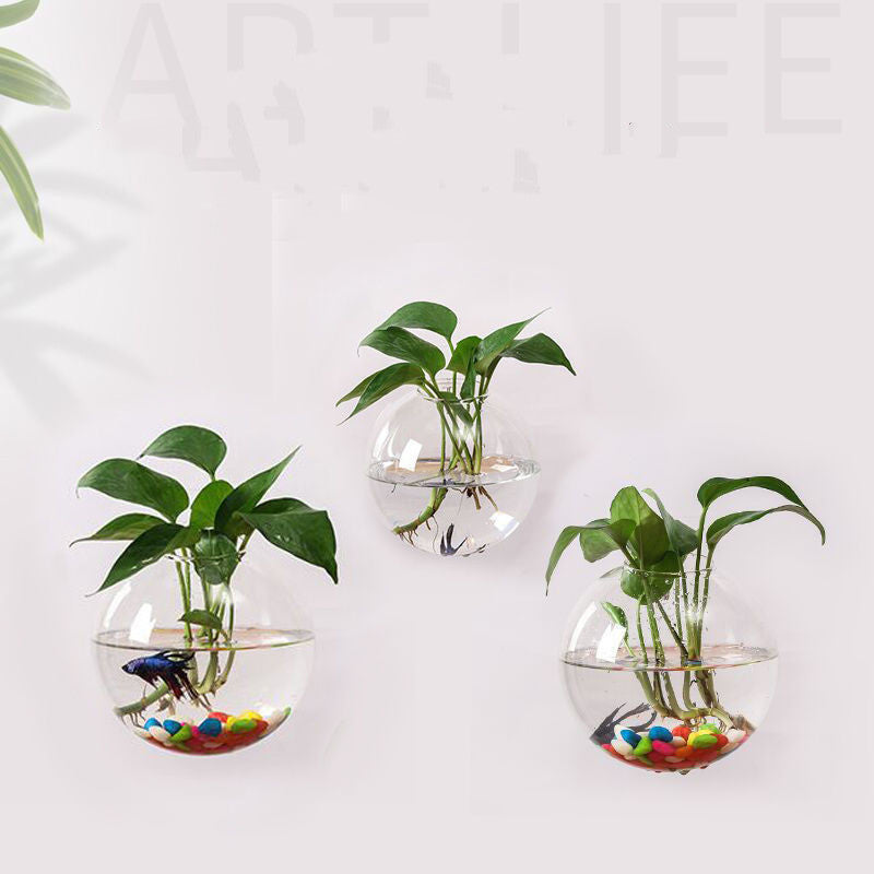 Hanging Utensils Hanging Wall Glass Flower Pots